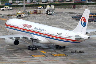 濱州青島機場至上海與福州空運服務詳解 全國空運貨運代理高效解決方案